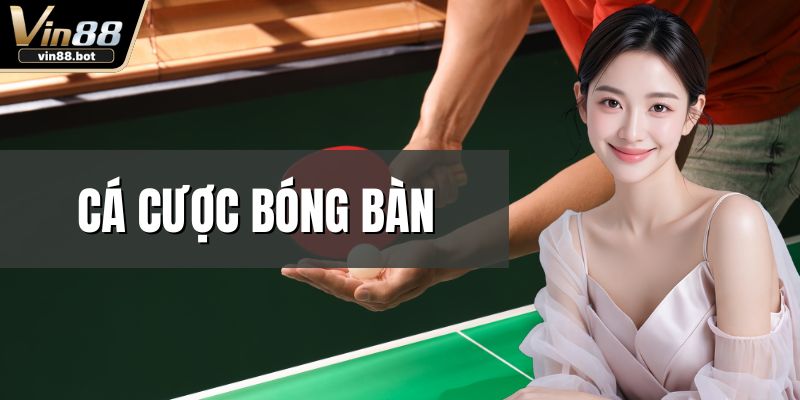 Cá Cược Bóng Bàn