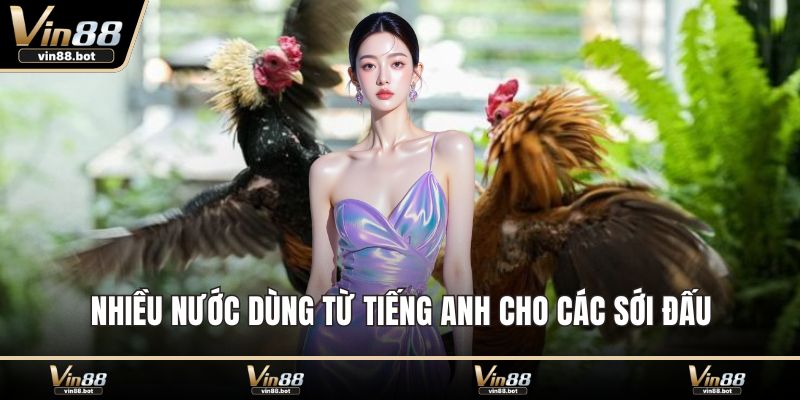 Nhiều nước dùng từ tiếng Anh cho các sới đấu